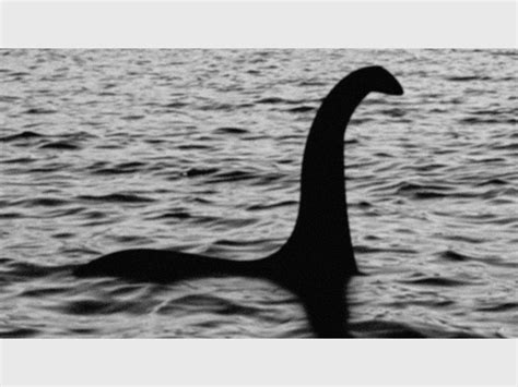 ‘Nessie’ is still hiding – South Coast Herald