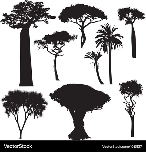 African tree silhouettes Royalty Free Vector Image