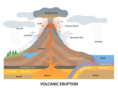 Volcanic eruption process structure with geological side view 10935321 ...