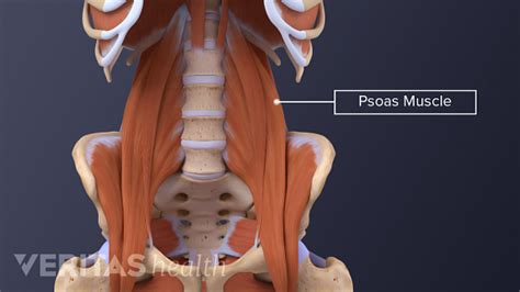 The Essential Role of the Psoas Muscle