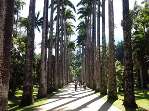 Tres jardines de América Latina, entre los más bonitos del mundo