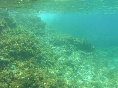 snorkeling near Cay Sal lighthouse | cliffandally | Flickr