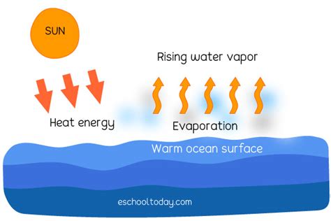 What does Evaporation mean in the Water Cycle? – Eschooltoday