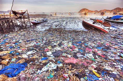 New Ocean Conservancy Report Finds Plastics in Ocean at Crisis Level ...