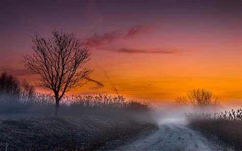 nature, Landscapes, Fog, Mist, Morning, Sunrise, Sunset, Road, Skies ...