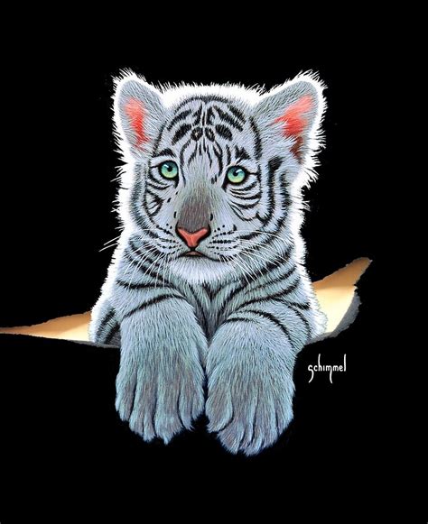 White Tiger Cub | ubicaciondepersonas.cdmx.gob.mx