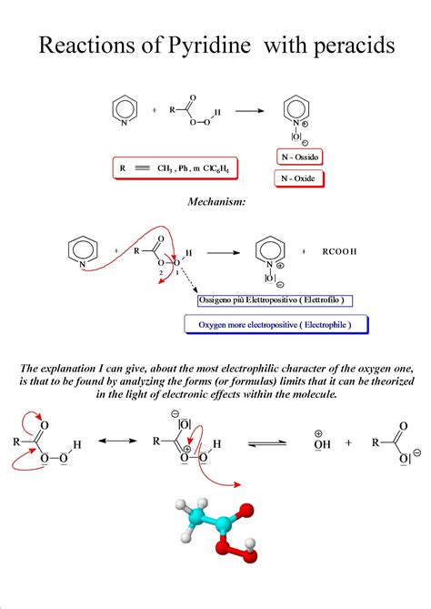 Dynamic Chemistry: Reaction of Pyridine with Peracids