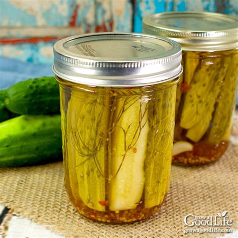 Kosher-Style Dill Pickles Canning Recipe | Recipe Cart