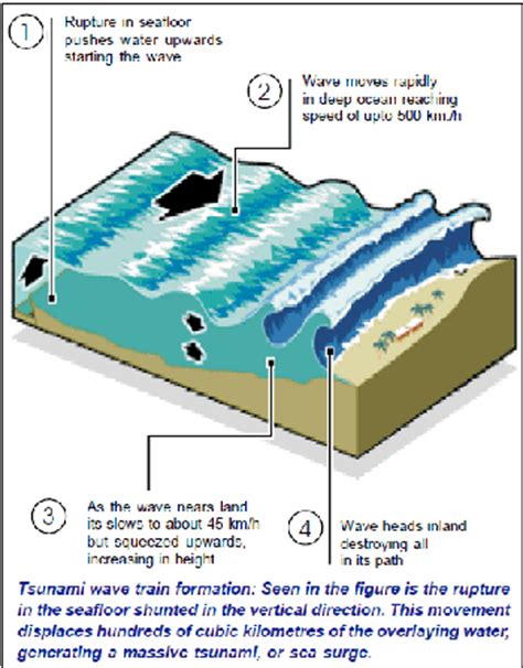 DISASTER MITIGATION AND MANAGEMENT: Natural Disasters - Tsunami: Causes ...