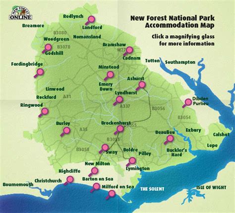 New Forest Accommodation | Places to Stay in the New Forest National Park