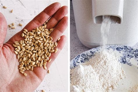 Milling Flour at Home: A Beginner's Guide - Aberle Home