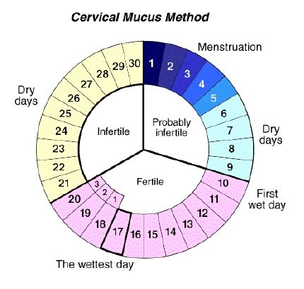 Natural Birth Control: Enjoy Sex Naturally With Natural Family Planning