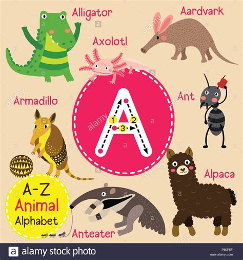 animals with letter a - Edythe Ellington