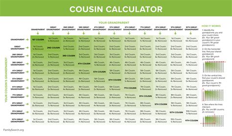 Dna Cousin Chart