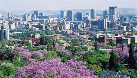 SA Metro: City of Tshwane - SABC News - Breaking news, special reports ...