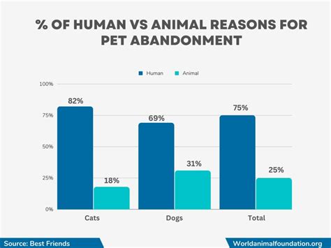 Animal Shelter Statistics - Pet Lifesaving By The Numbers!!