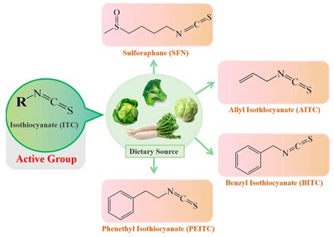 IJMS | Free Full-Text | Dietary Isothiocyanates: Novel Insights into ...