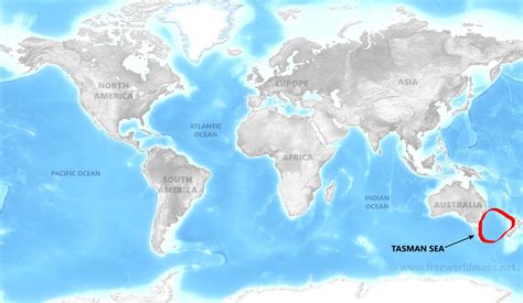 Where Is The Tasman Sea