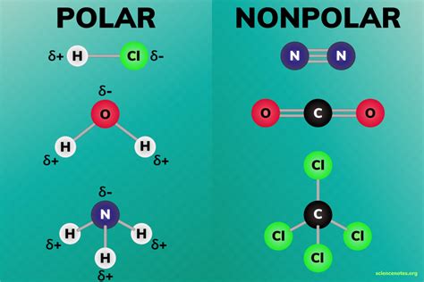 Polar and Nonpolar Molecules