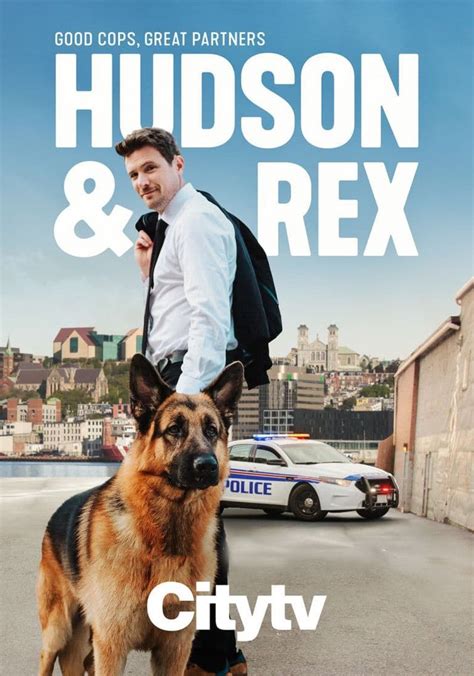 Hudson & Rex Season 4 - watch full episodes streaming online