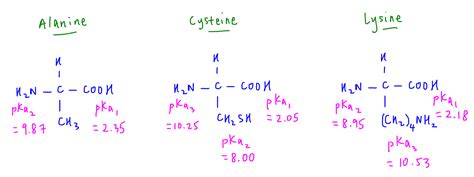 Deduce Zwitterion and Isoelectric Point of Amino Acids