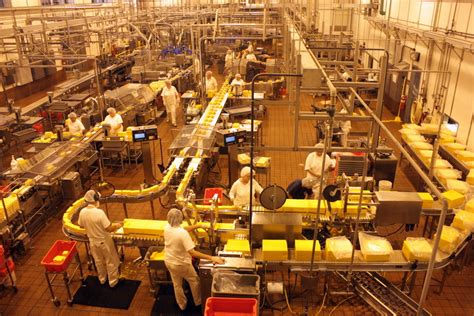 Tillamook Cheese Factory – Oregon | Tripomatic