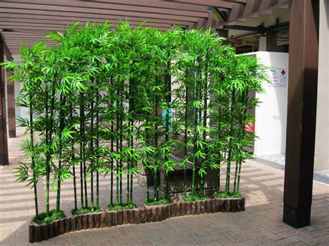 10 Bamboo Garden Ideas, Most of the Awesome and Lovely | Bamboo ...