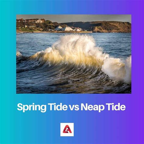 Spring vs Neap Tides: Difference and Comparison