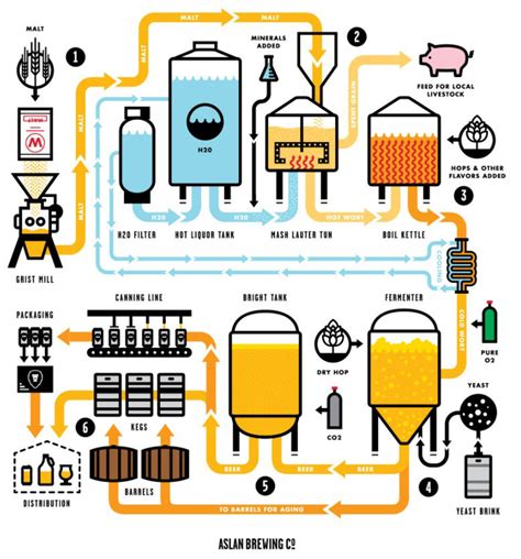 The brewing process - Hermann