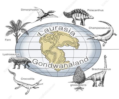 Laurasia and Gondwana, Illustration - Stock Image - C033/5447 - Science ...