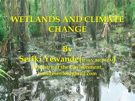 Wetlands & Climate change