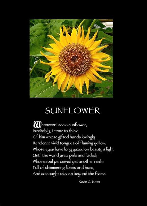 Sunflower Poems | Sunflower poem, Sunflower quotes, Sunflower