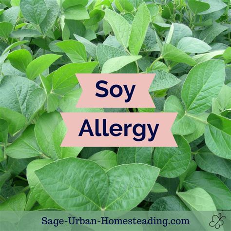 Soy Allergy