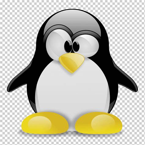 Tux racer tux escribiendo pingüino linux, linux, logo, pájaro ...