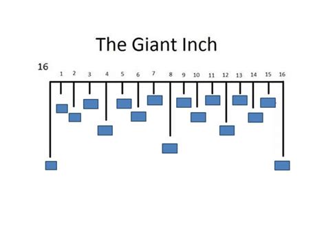 Giant Inch Diagram | Quizlet