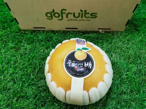 Jumbo Singo Pear, KR, 1 pc – GoFruits – Online Premium Fruit Malaysia