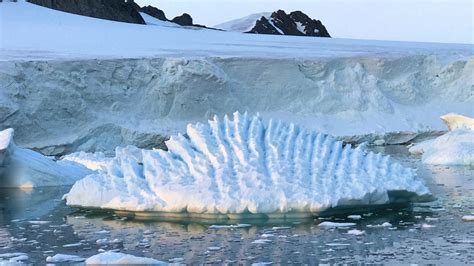 Newsela | Antarctica's ice is melting and scientists agree the loss is ...