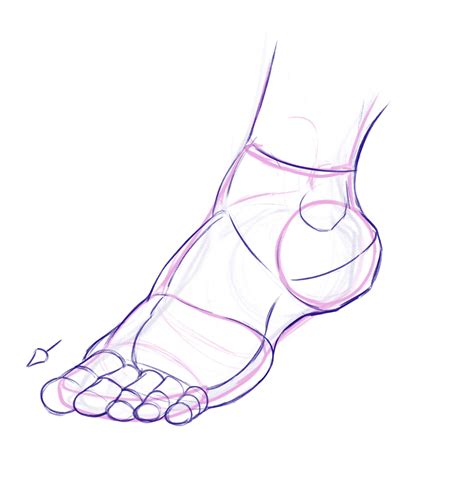 How to draw feet | Human drawing, Human figure drawing, Human anatomy ...