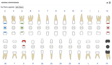 General odontogram | ICE Health Systems Help