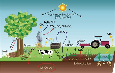 Agriculture and Climate Change in the EU: An Overview | Climate Policy ...