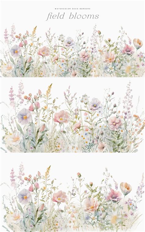 Watercolor Floral Borders Floral Borders Wild Flowers Watercolor ...