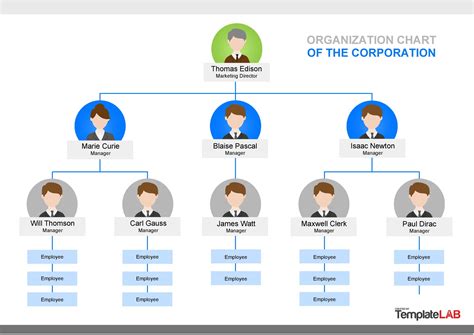 41 Organizational Chart Templates (Word, Excel, PowerPoint, PSD)