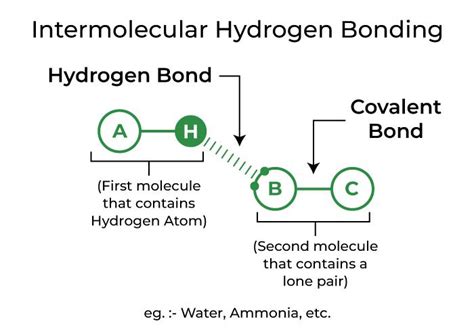 Hydrogen Bonding – Definition, Types, Effects and Properties