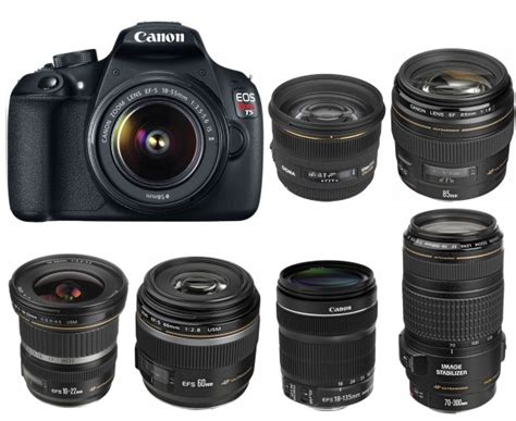 Best Lenses for Canon EOS Rebel T7, T6, T5 in 2023 - Camera Times