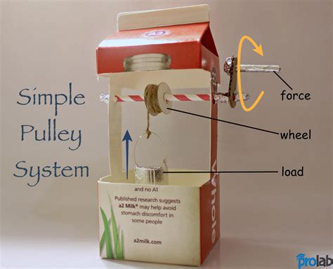 A simple pulley system | Simple machine projects, Simple machines ...