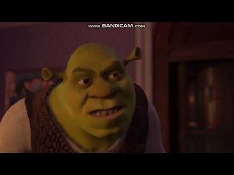 Shrek and Fiona Fight Scene - Shrek 2 - YouTube