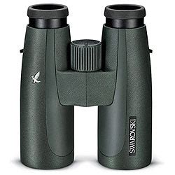 Complete Guide to Birdwatching & Birding Binoculars