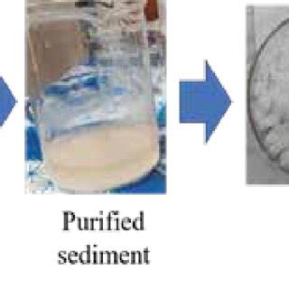 Synthesis process of starch from plant derived source (potato ...