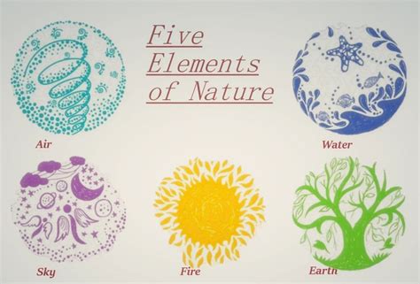 THE FIVE ESSENTIALS OF NATURE’S