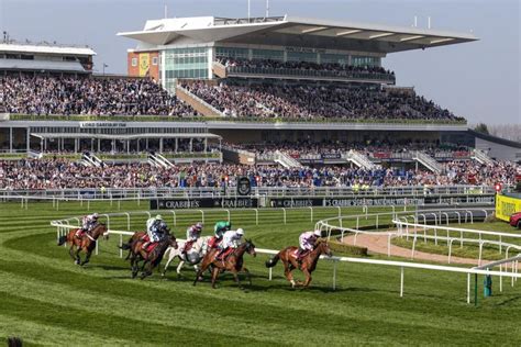 The 7 Best Racecourses in the UK - WePromote247.com